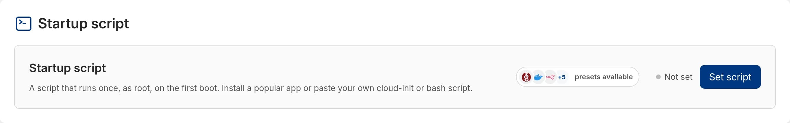 startup script section