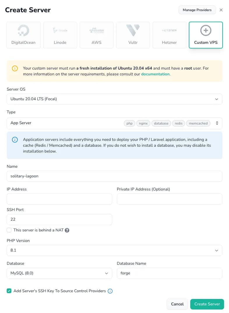choose the custom VPS option