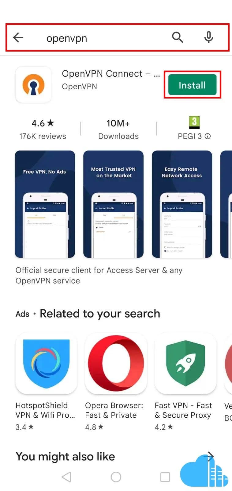 download the openvpn from the app store