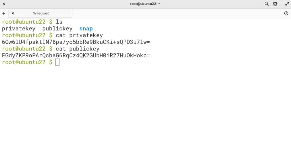 checking directory contents