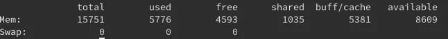 check RAM usage